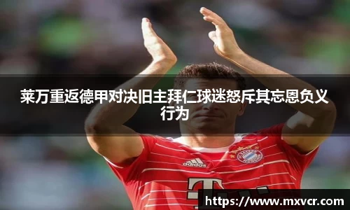 芒果体育官方网站